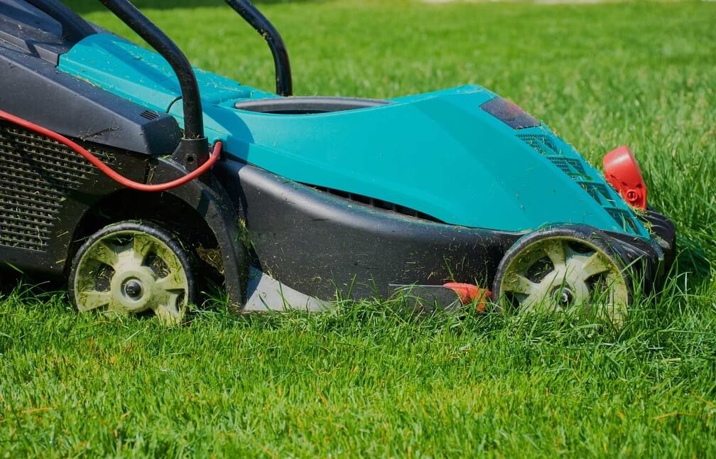 Grass Cutting Grass Cutting