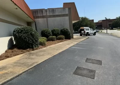 Dependable Leaf Cleanup Service